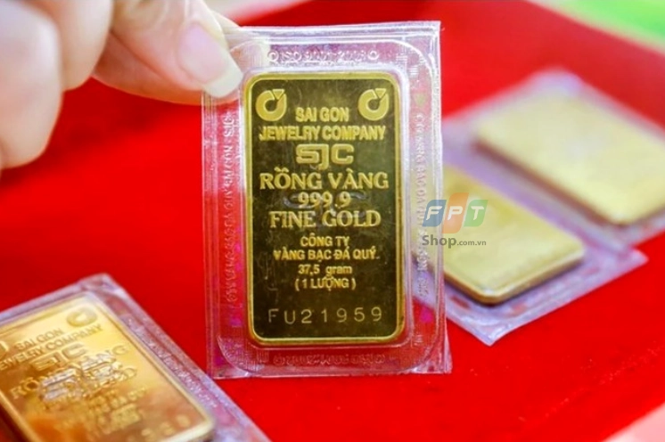 1-cay-vang-4-so-9-gia-bao-nhieu-nam-2026-cap-nhat-chi-tiet_720
