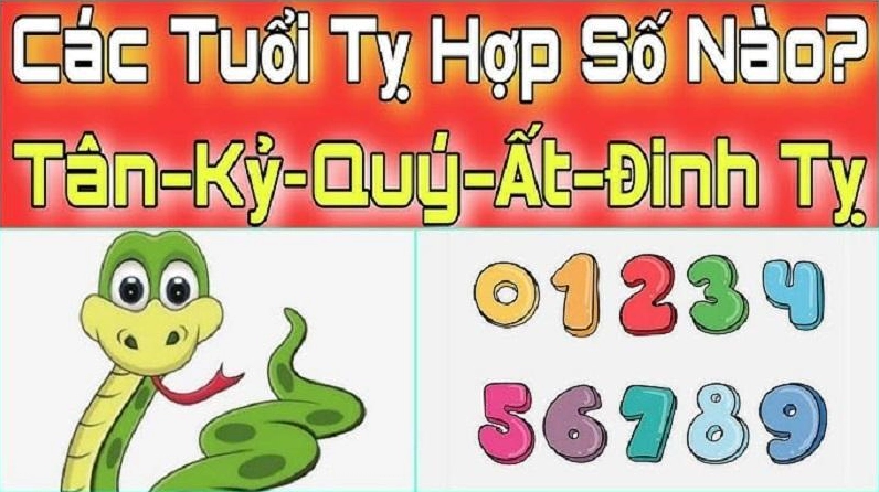 Đặc điểm tính cách người tuổi Rắn
