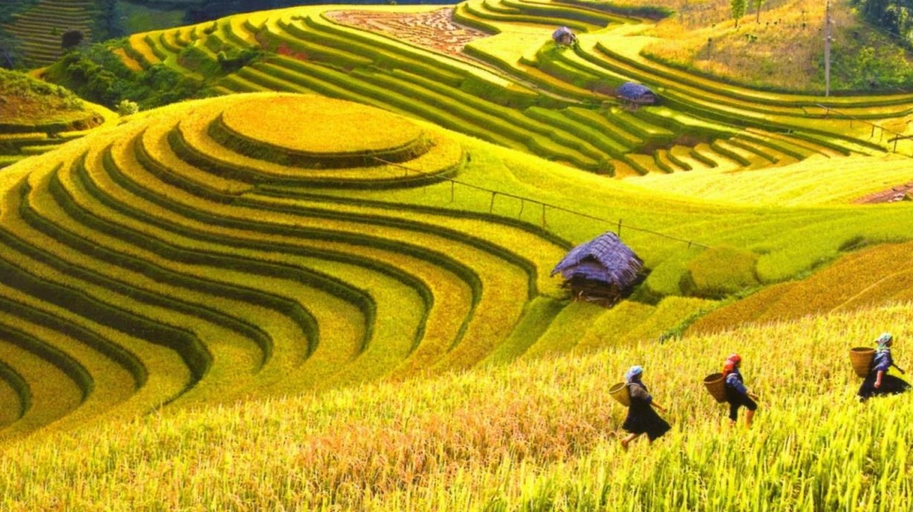 Ẩm thực địa phương tại Hoàng Su Phì