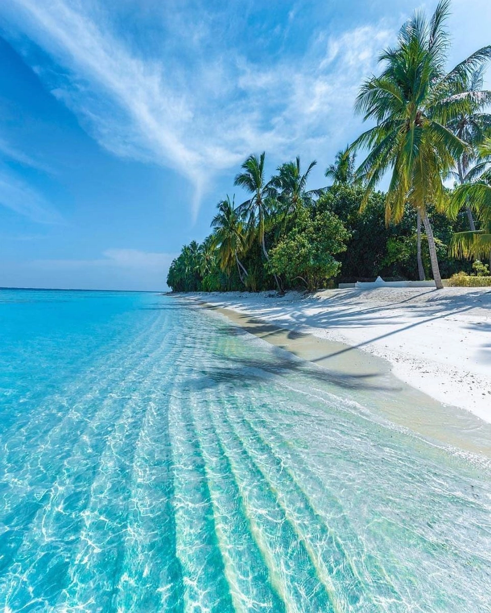 Bãi biển cát trắng và nước trong xanh tại Maldives