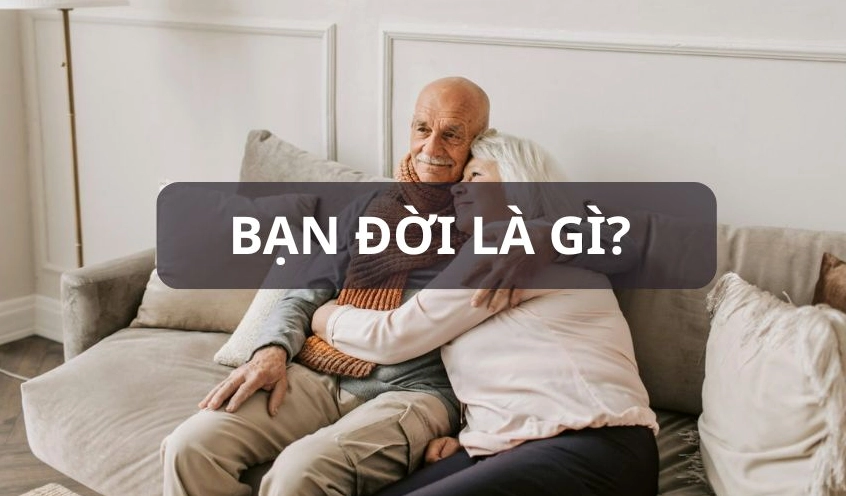ban-oi-la-gi-hanh-trinh-tim-kiem-tri-ky-ich-thuc-2026_371