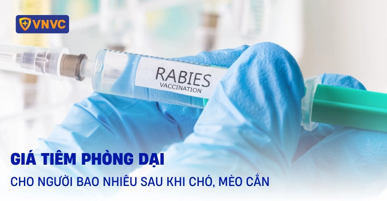 Bảng giá tiêm phòng dại tham khảo
