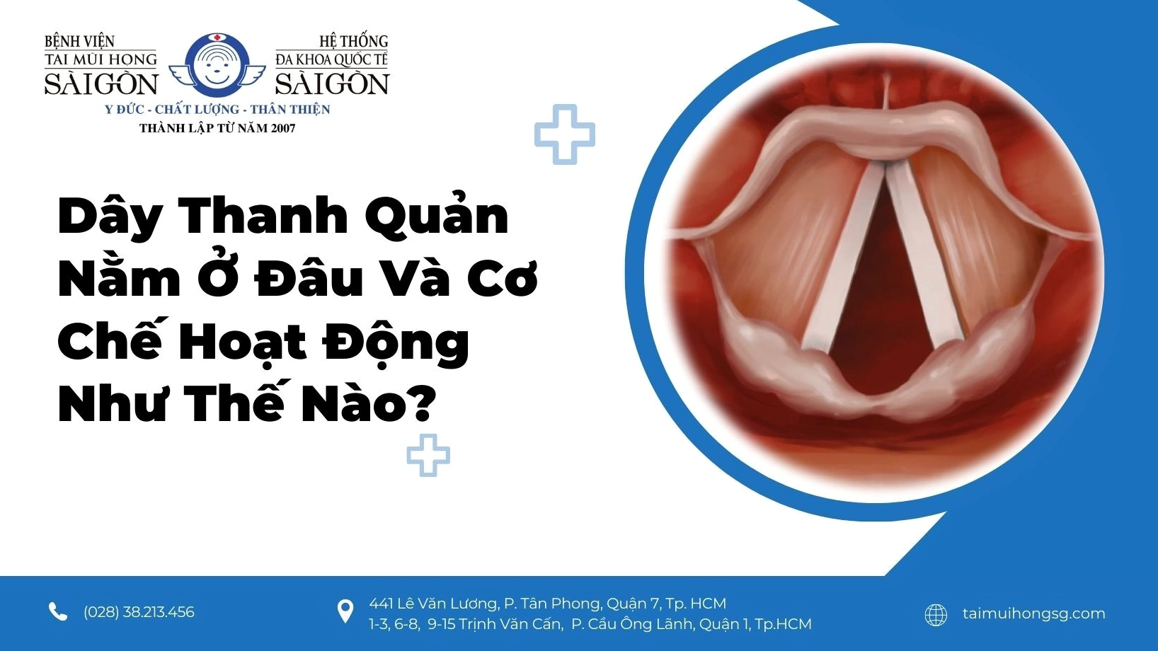 Bảo vệ sức khỏe thanh quản