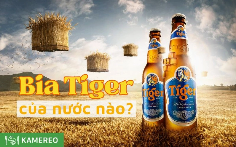 bia-tiger-cua-nuoc-nao-nguon-goc-va-hanh-trinh-chinh-phuc-th_360
