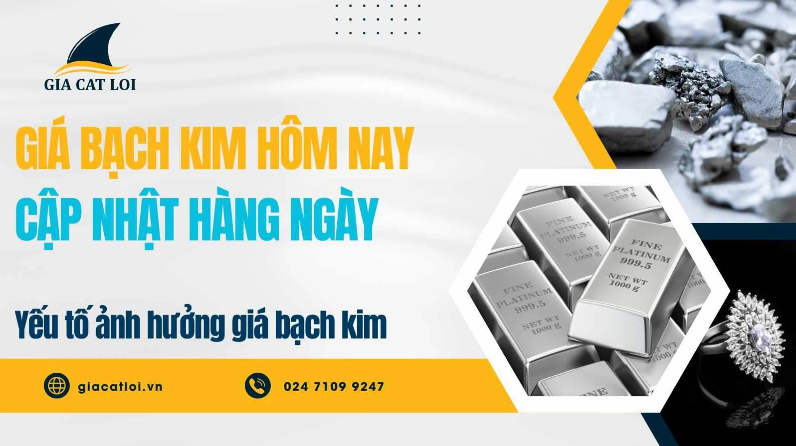 Biến động giá bạch kim hôm nay