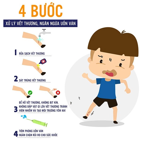 Biểu đồ minh họa sự lây lan của vi khuẩn uốn ván