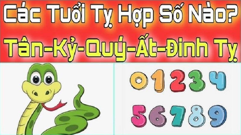 Biểu đồ tính cách người tuổi Tỵ