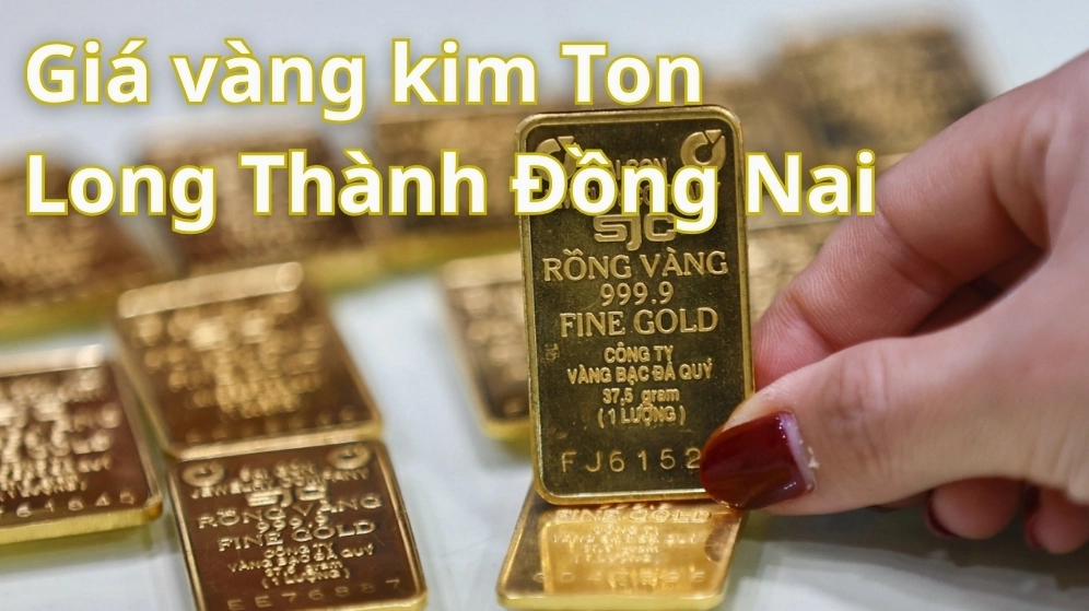 Biểu tượng vàng Kim Tôn và biểu đồ giá