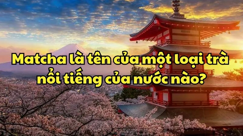 Bột matcha được xay mịn bằng cối đá