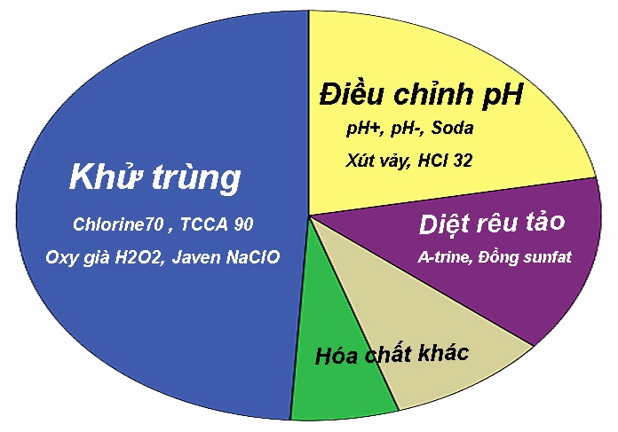 Các loại hóa chất khử trùng nước bể bơi phổ biến