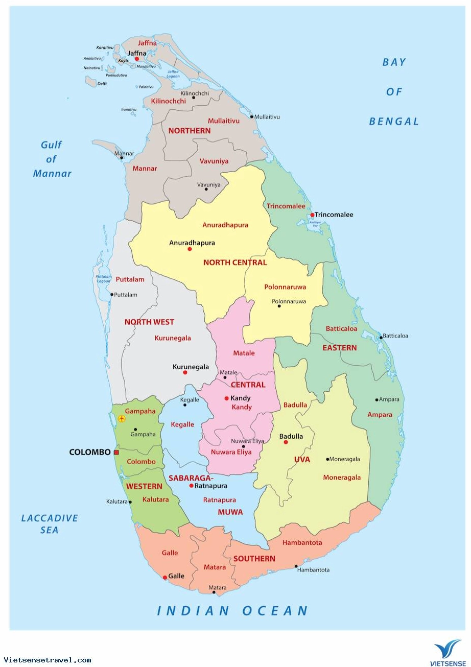 Cảnh quan đồi chè xanh mướt ở Sri Lanka