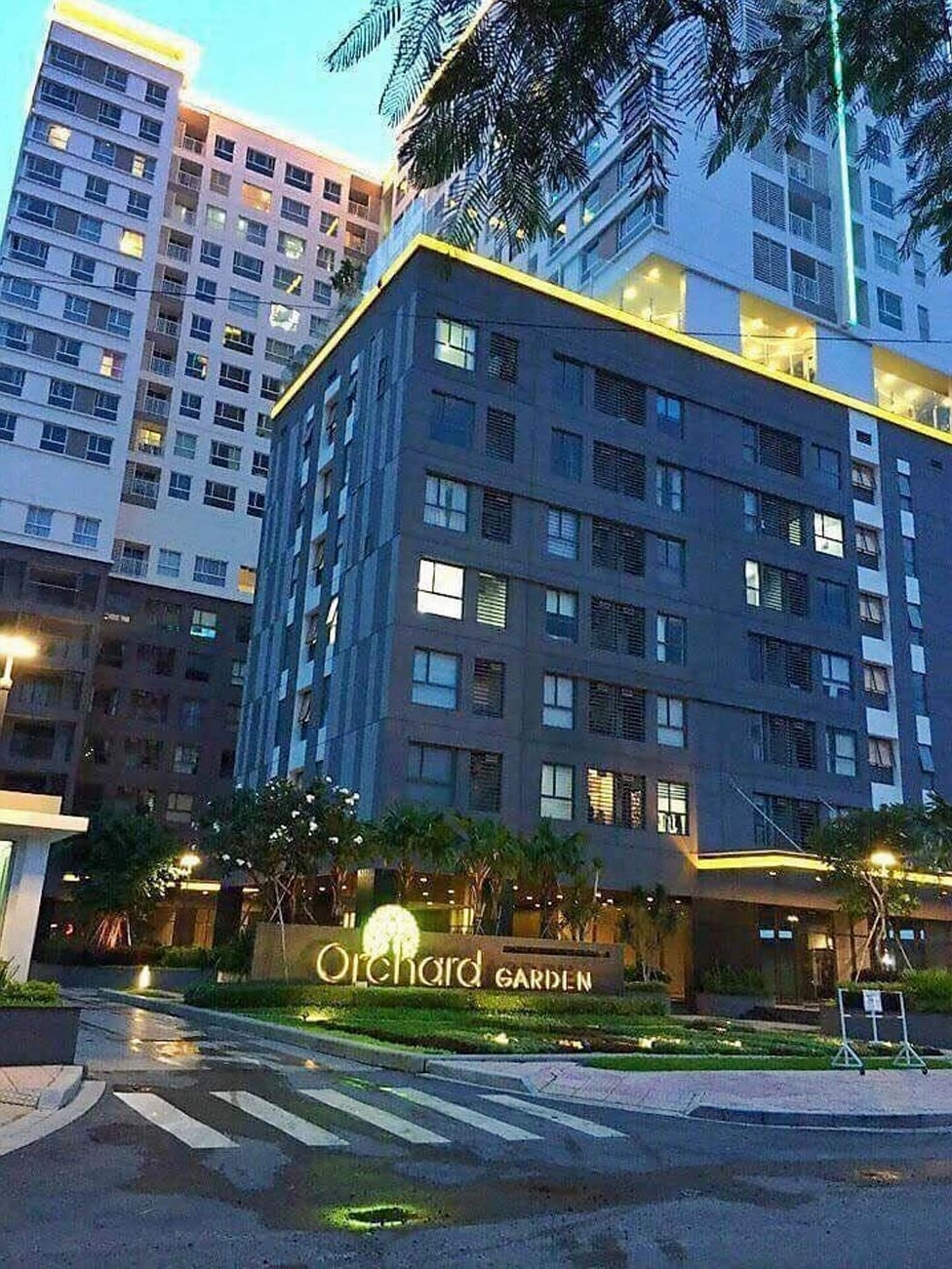 Cảnh quan vườn cây ăn trái về đêm