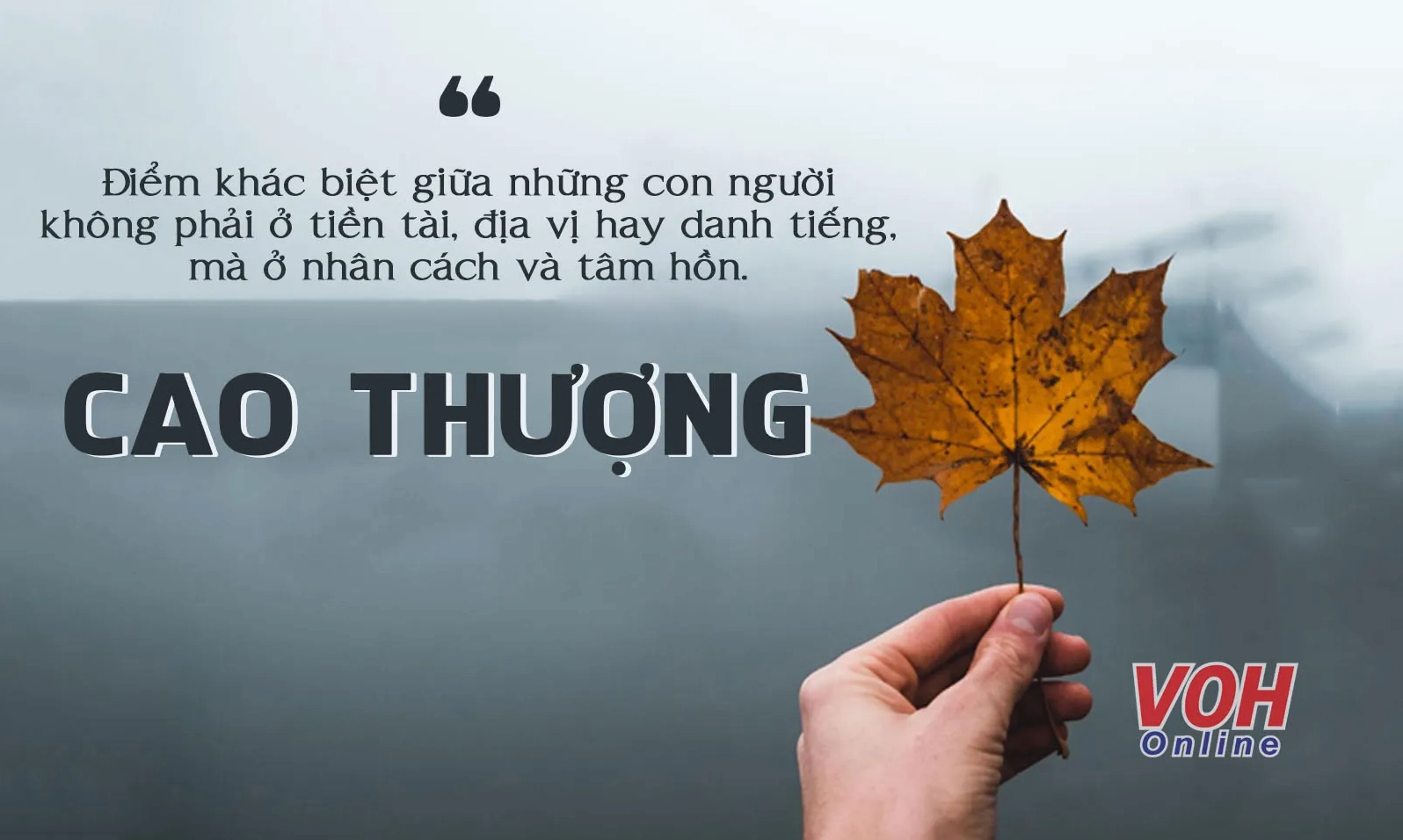 cao-thuong-la-gi-pham-chat-quy-gia-can-nuoi-duong_964