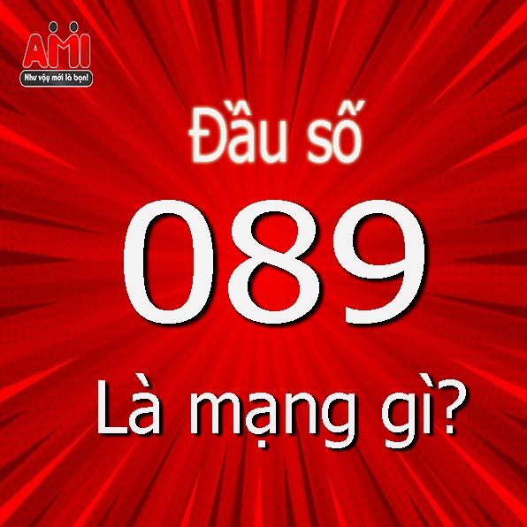 Câu hỏi thường gặp về SIM 089