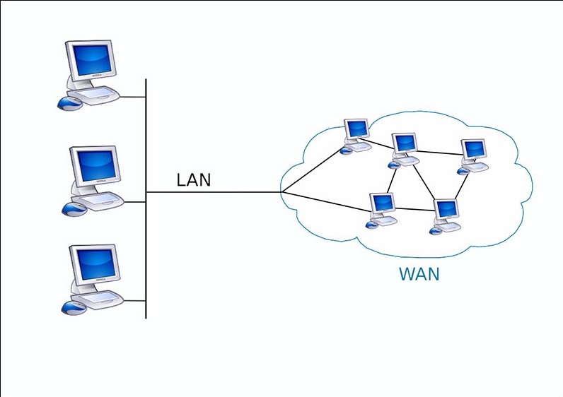 Cấu trúc cơ bản của mạng LAN