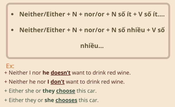 Cấu trúc Either Or và Neither Nor