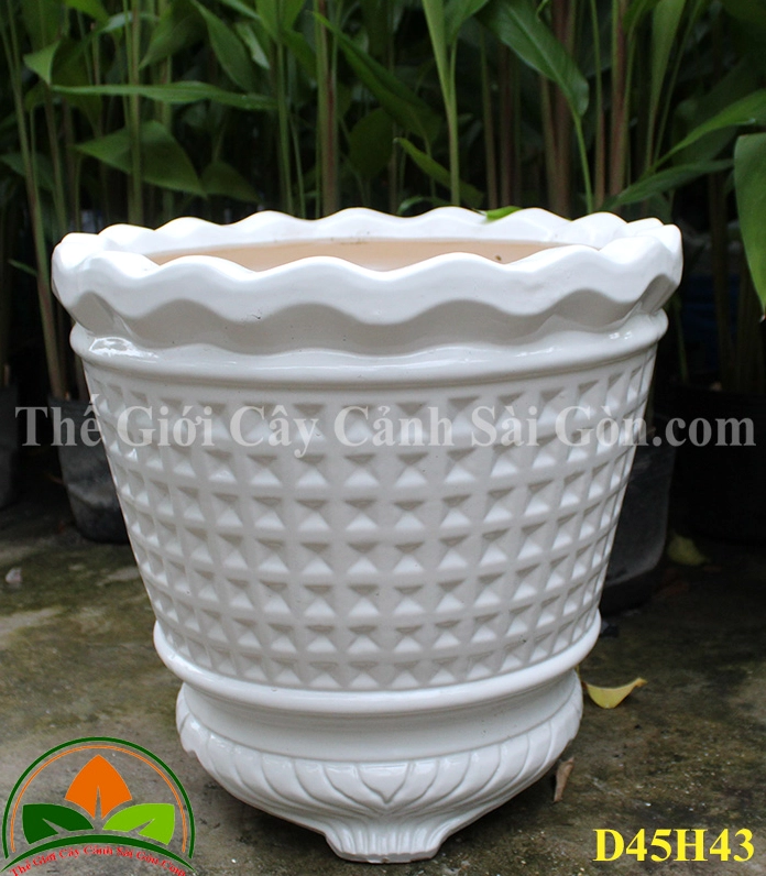Chậu sứ ba chân kiểu dáng độc đáo