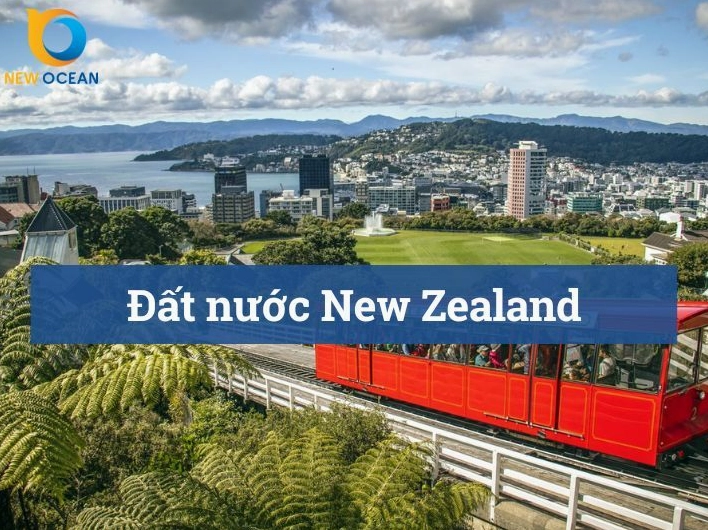Chi tiết chạm khắc nghệ thuật Maori trên gỗ