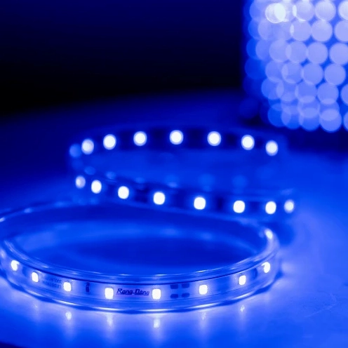 Chi tiết đèn LED dây Rạng Đông cho trang trí
