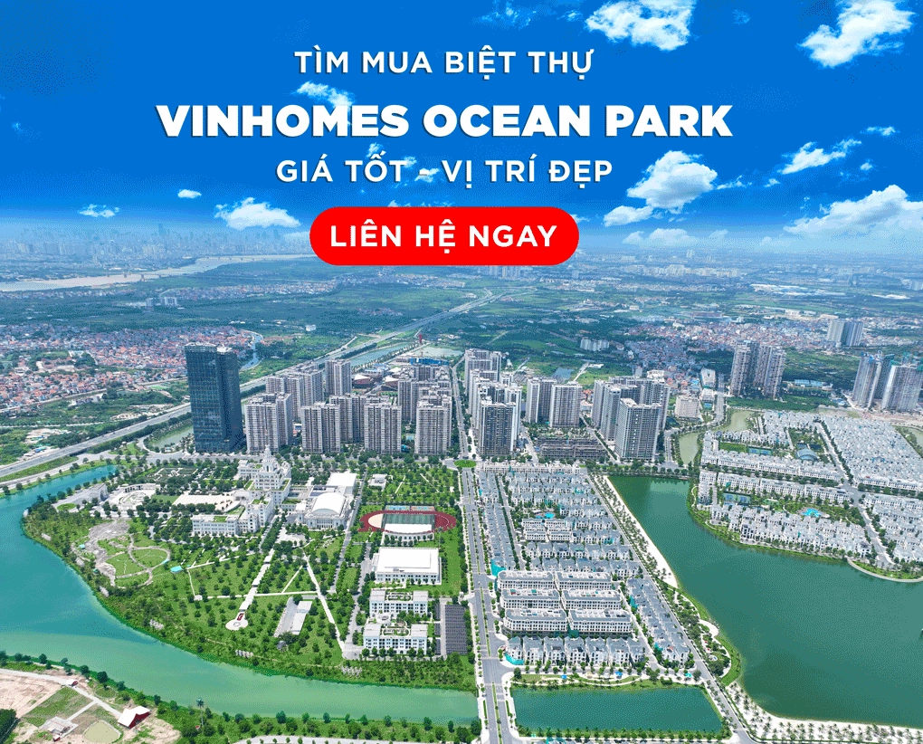 Cơ hội đầu tư tại Vinhomes Ocean Park 1