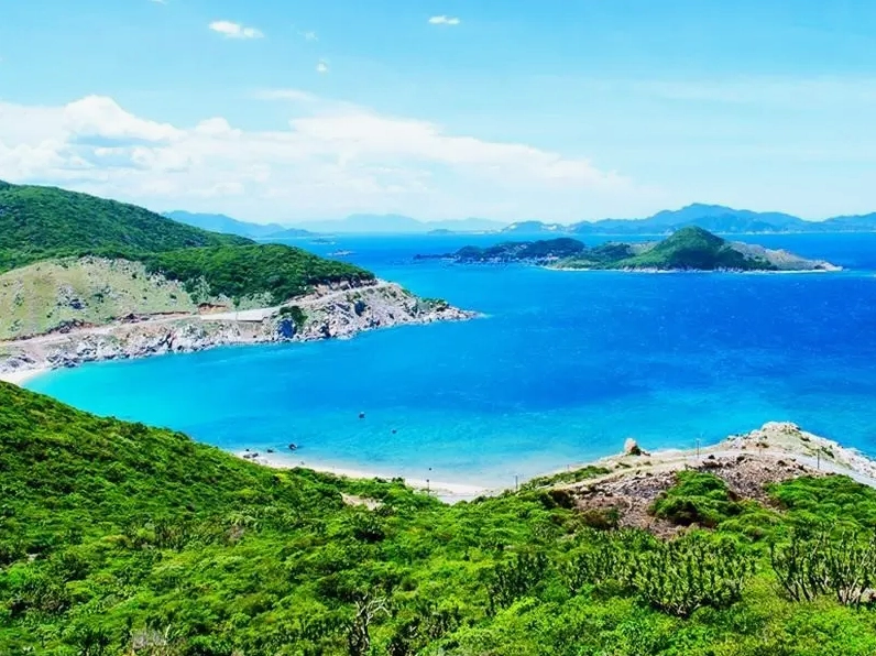 Con đường ven biển Ninh Chữ với hàng dừa xanh mát