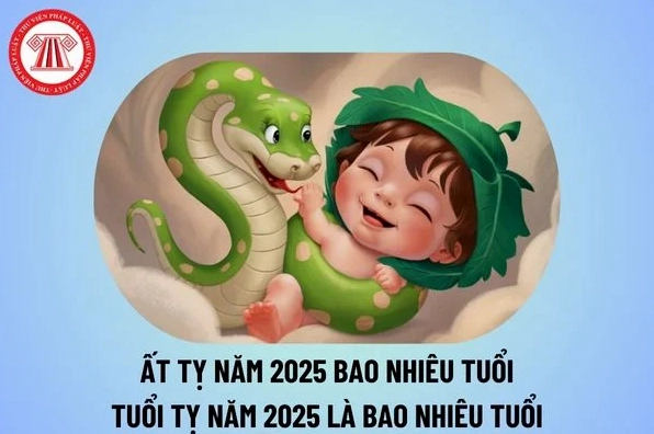 Dự đoán vận mệnh tuổi Tỵ năm 2025