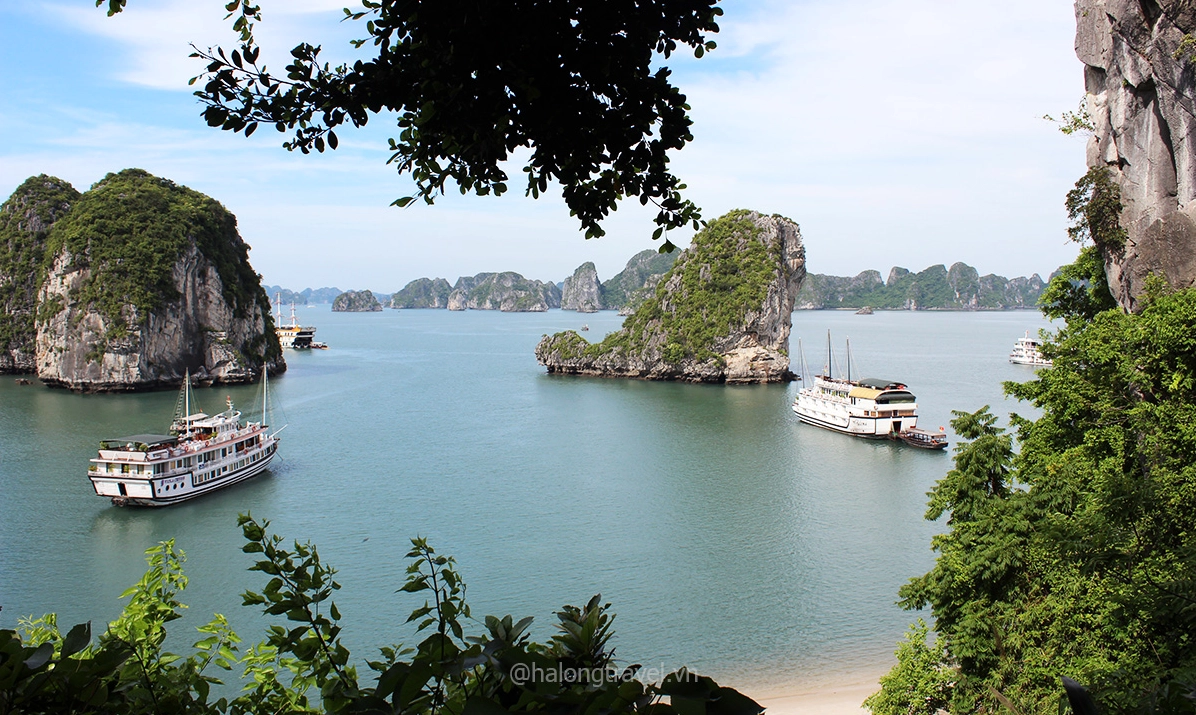 Du thuyền sang trọng trên Vịnh Hạ Long về đêm