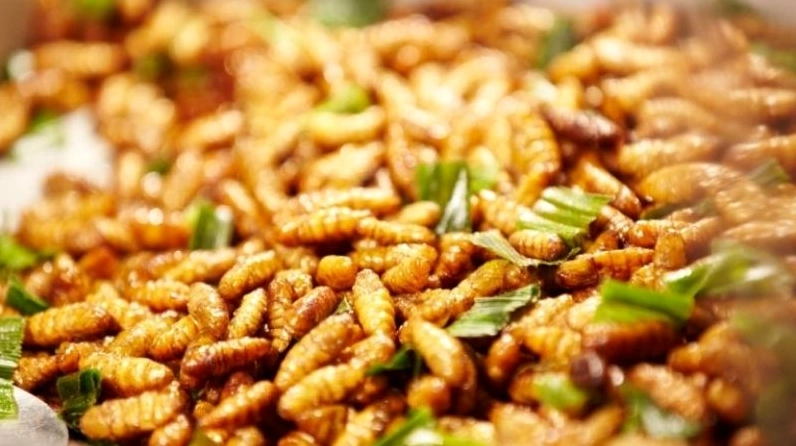 Gà nướng mắc khén Yên Bái