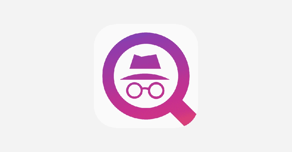 Giao diện một công cụ xem Story Instagram ẩn danh