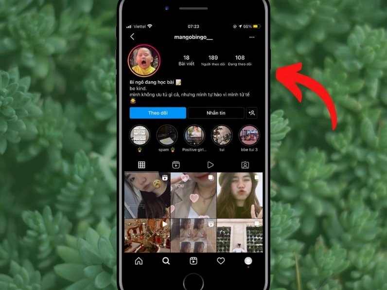 Giao diện trang web xem Instagram ẩn danh