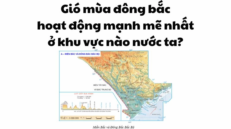 gio-mua-ong-bac-manh-nhat-o-au-viet-nam-2026_129