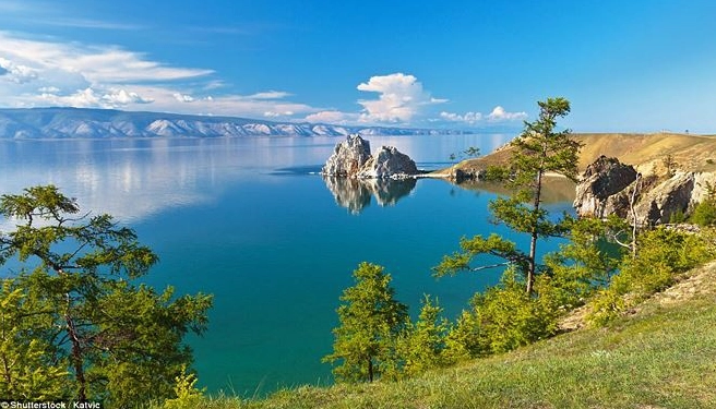 Hải cẩu Baikal