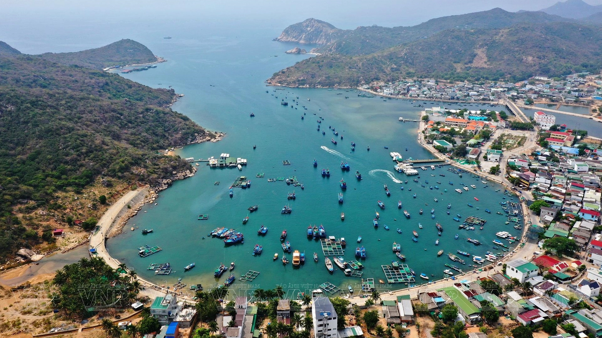Hải sản tươi ngon tại Vịnh Vĩnh Hy
