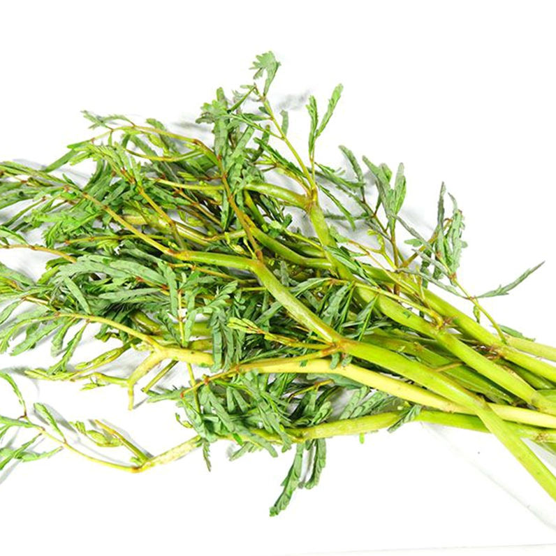 Hạt giống rau nhút