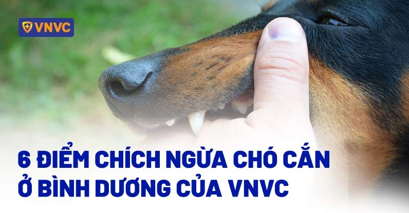 Hệ thống tiêm chủng VNVC là một lựa chọn uy tín