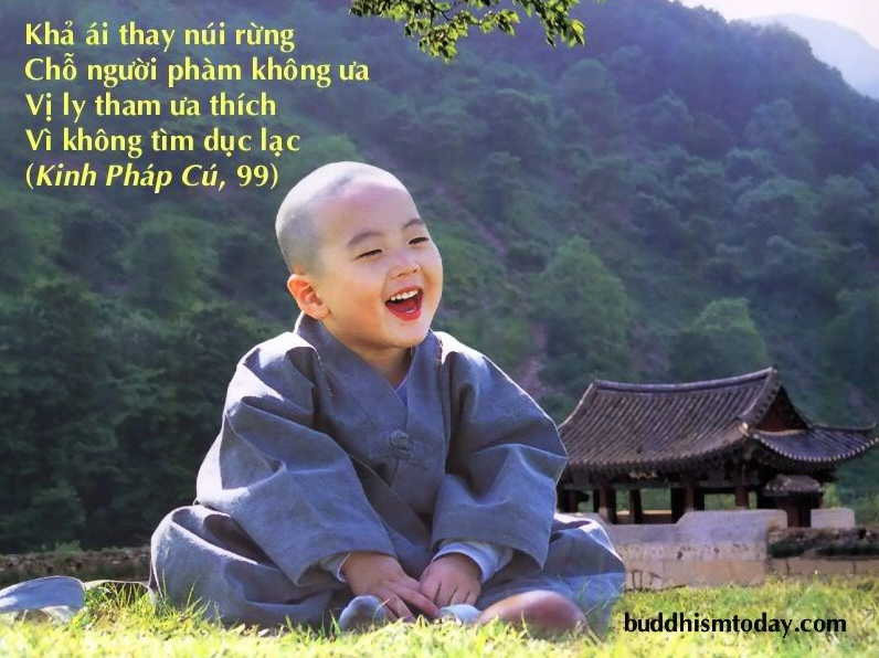 Hình ảnh minh họa bài học cuộc sống