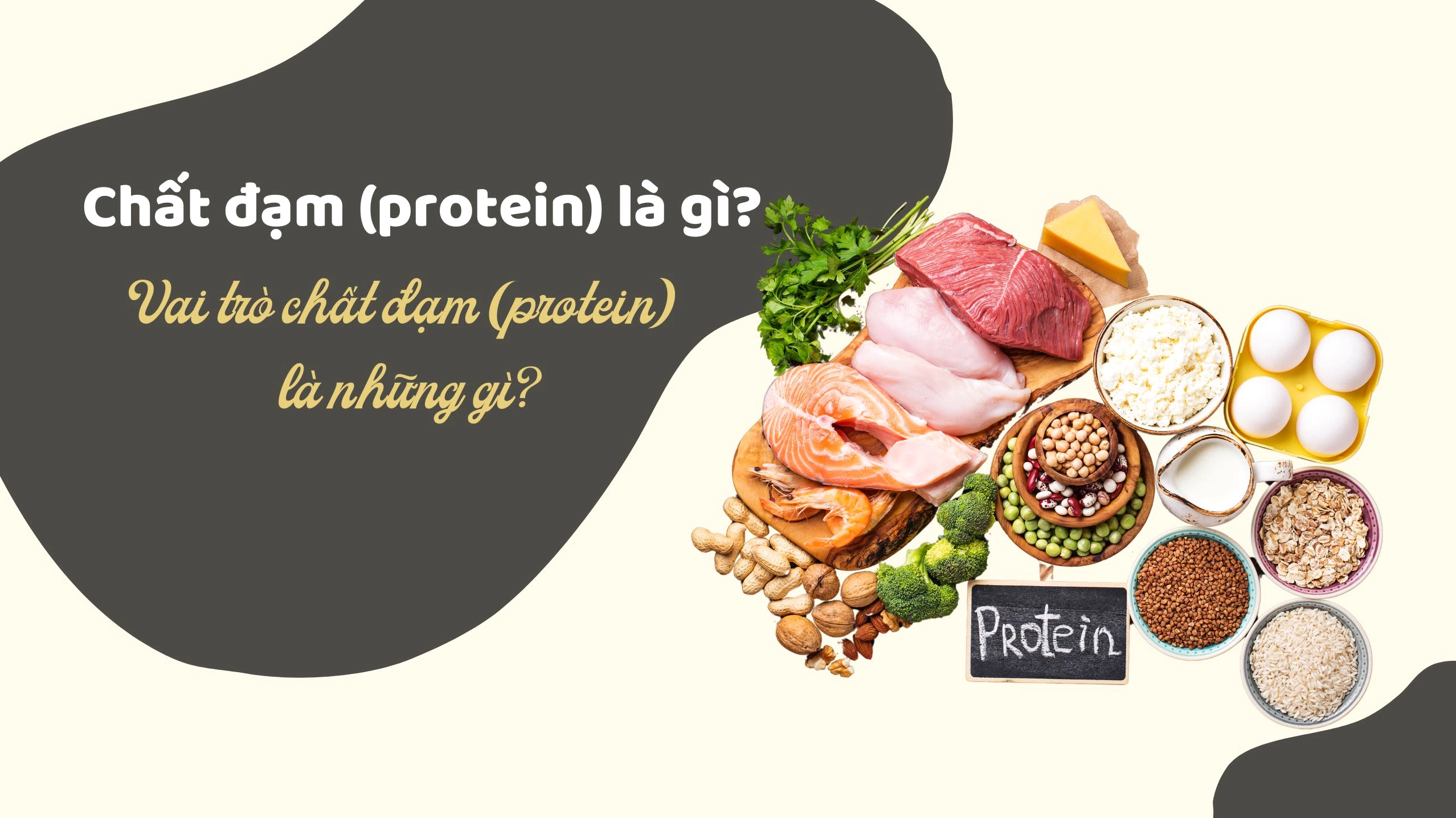 Hình ảnh minh họa chế độ ăn uống cân bằng