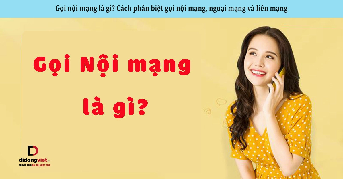 Hình ảnh minh họa khái niệm nội mạng