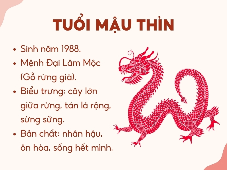 Hình ảnh minh họa người tuổi Mậu Thìn 1988