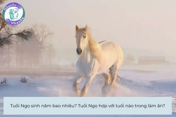 Hình ảnh minh họa về tuổi Ngọ