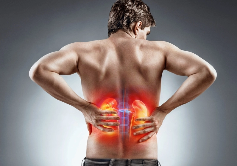 Hình ảnh minh họa vị trí đau thận