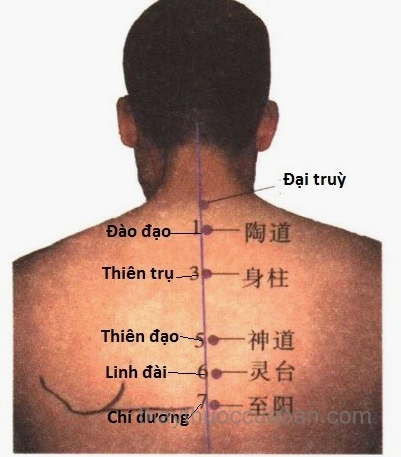 Hình ảnh minh họa vị trí huyệt Đại Chùy