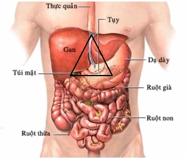 Hình ảnh mô tả vùng bụng có đau thượng vị