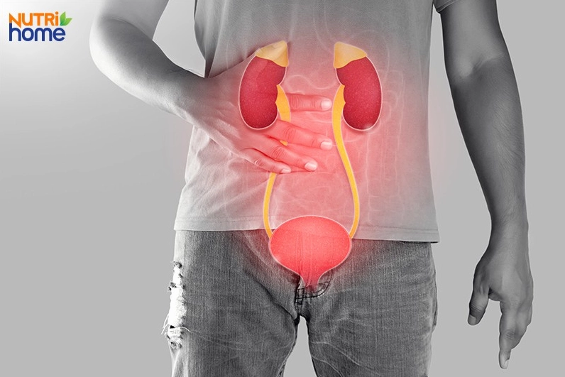 Hình ảnh người bệnh cảm thấy đau ở vùng thận