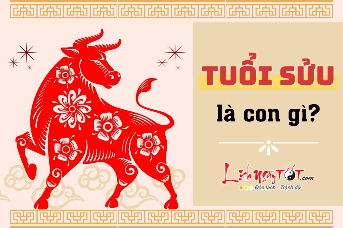 Hình ảnh người tuổi Sửu