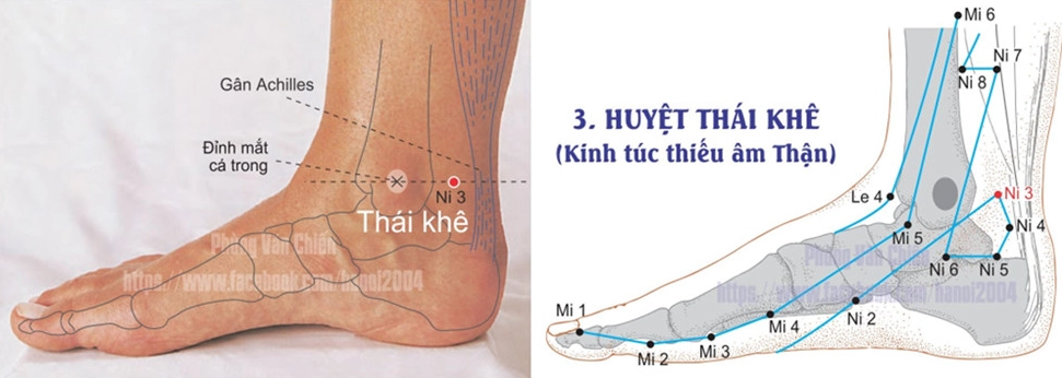 Hướng dẫn xoa bóp huyệt Thái Khê