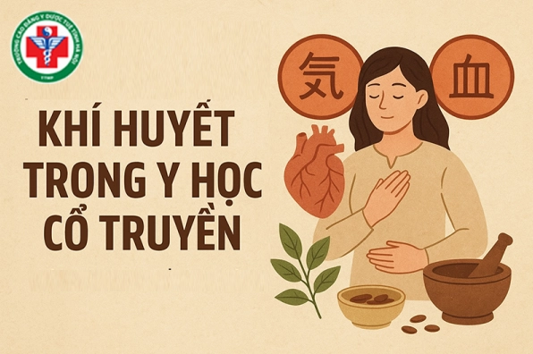 khi-huyet-la-gi-vai-tro-va-cach-cai-thien-tinh-hoa-co-the_332