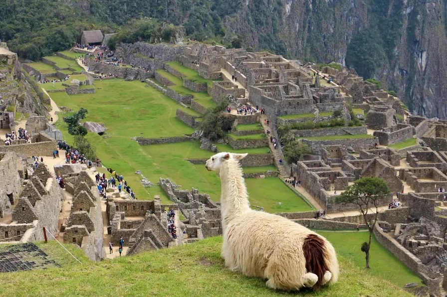 Kiến trúc đá tinh xảo của Machu Picchu