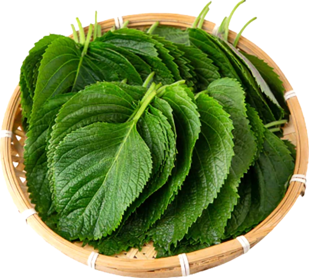 la-me-bi-mat-dinh-duong-va-ung-dung-tuyet-voi-cho-suc-khoe-2_860