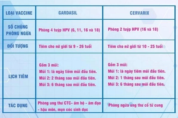 Lịch tiêm vắc xin HPV
